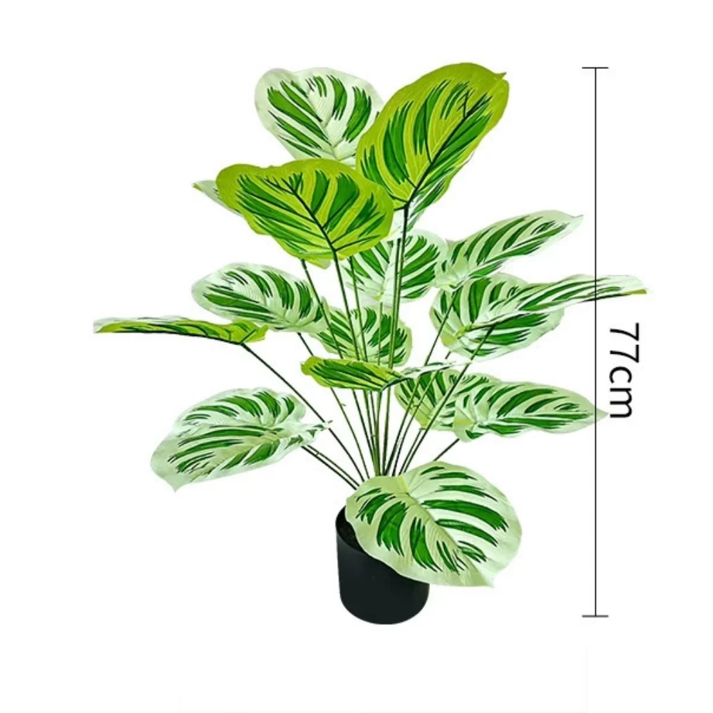 Image du produit 13