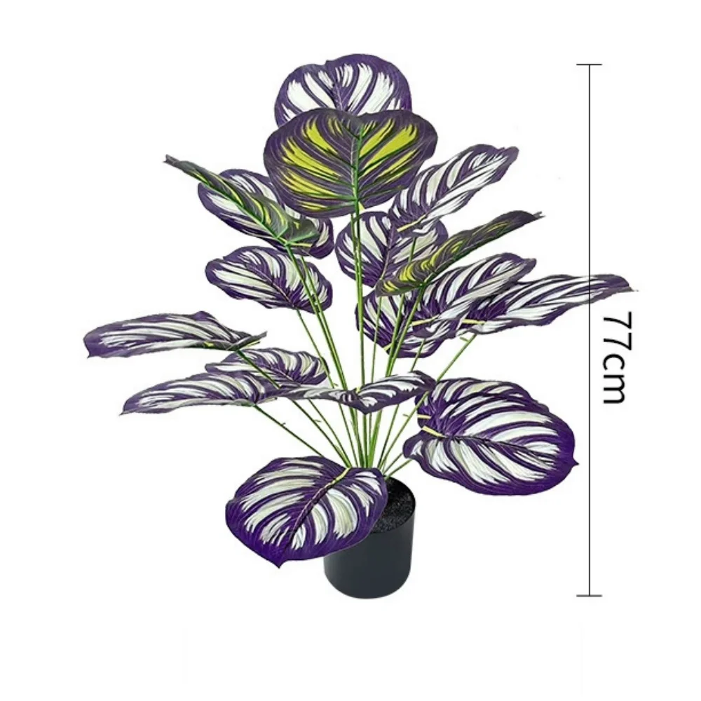 Image du produit 14