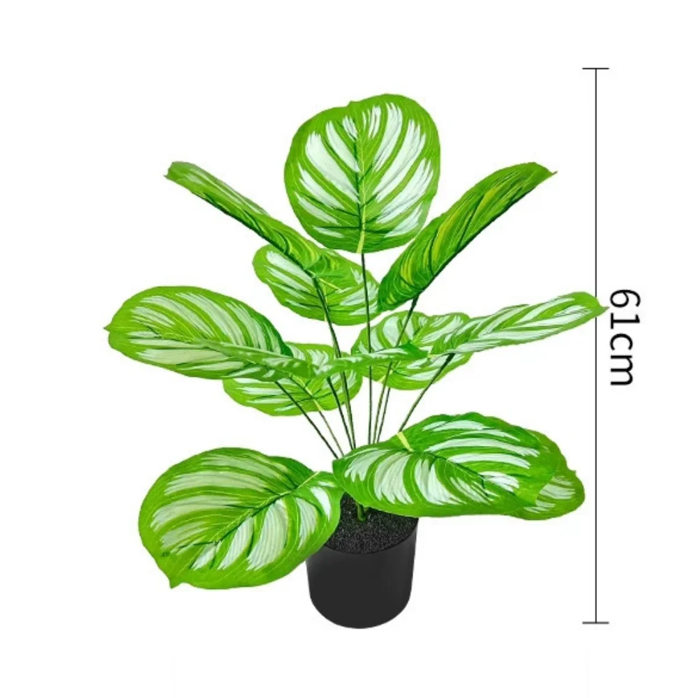 Image du produit 15