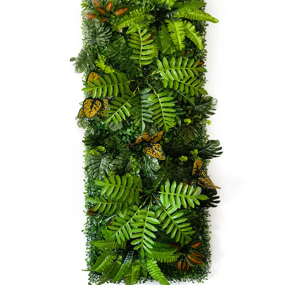 Image du produit 12