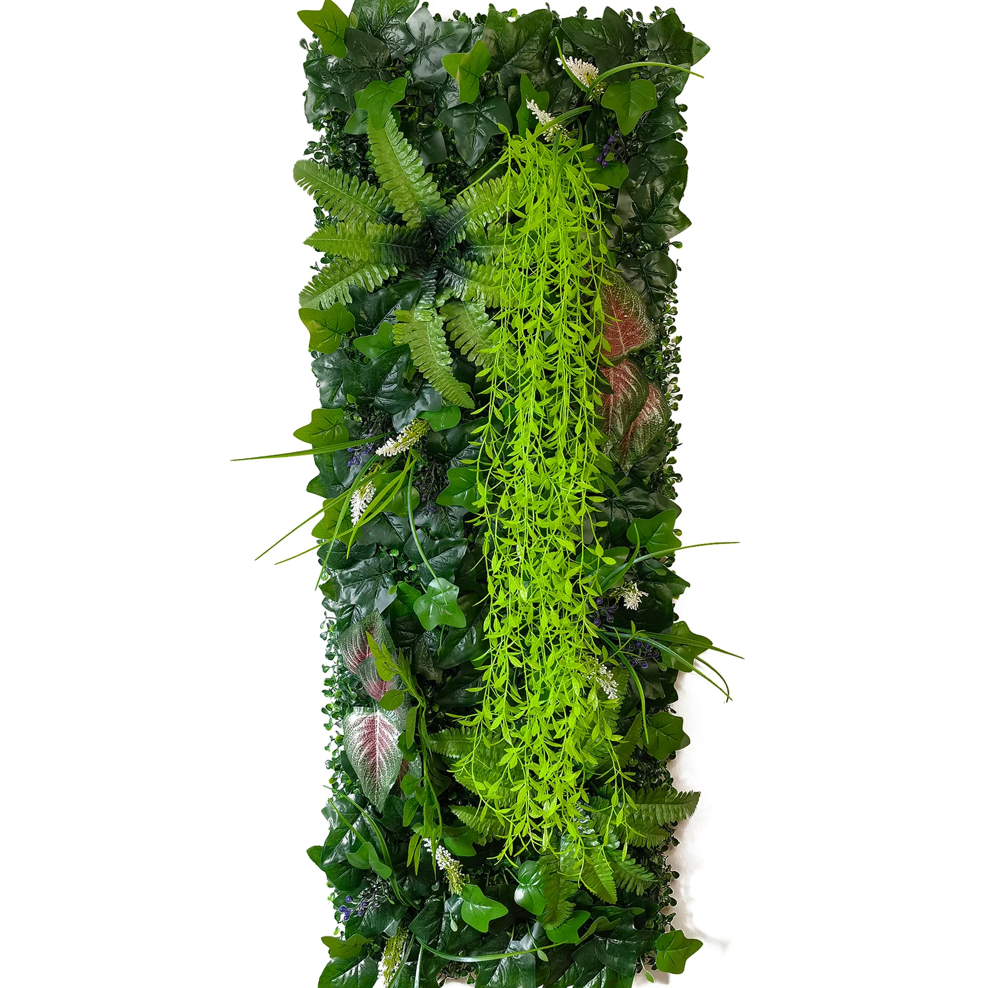 Image du produit 16