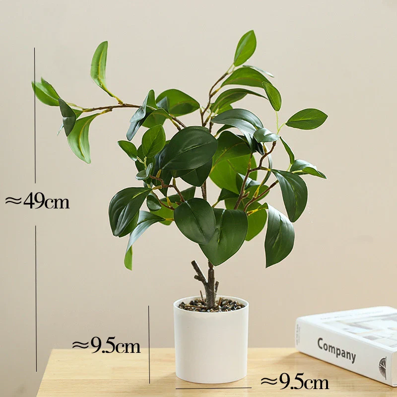 Image du produit 12