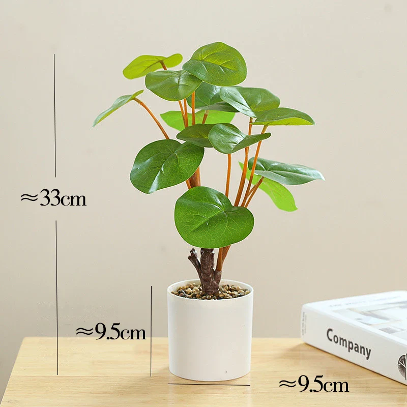 Image du produit 13