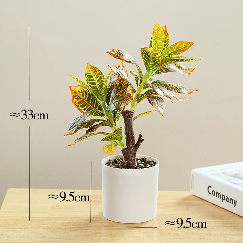 Image du produit 14