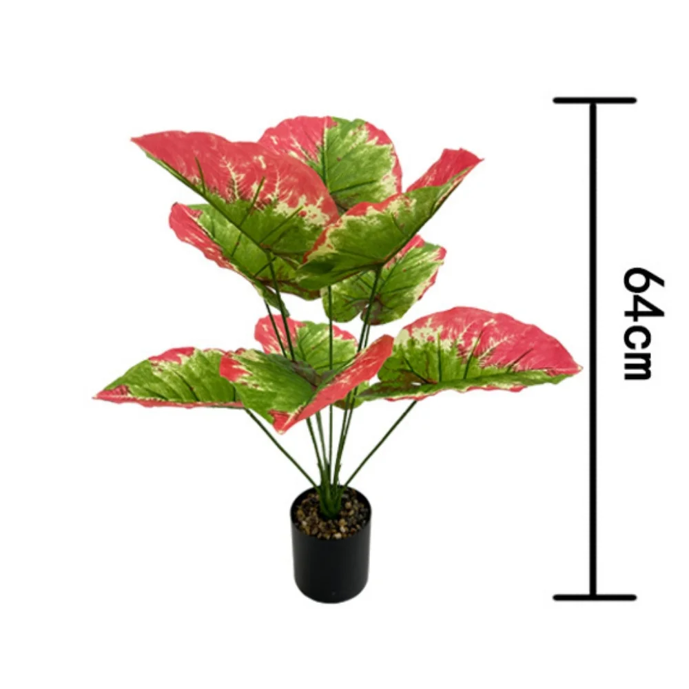 Image du produit 11