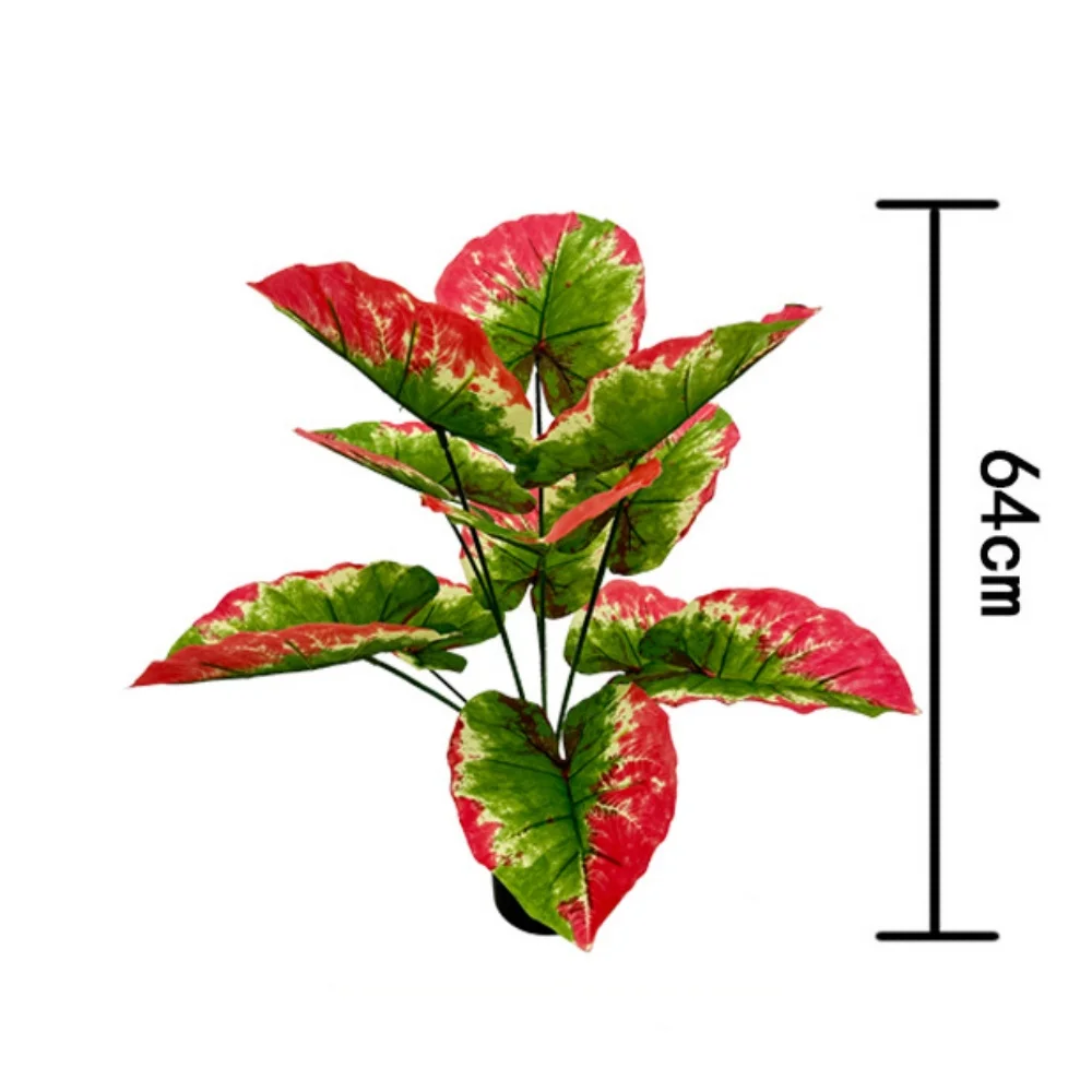 Image du produit 12