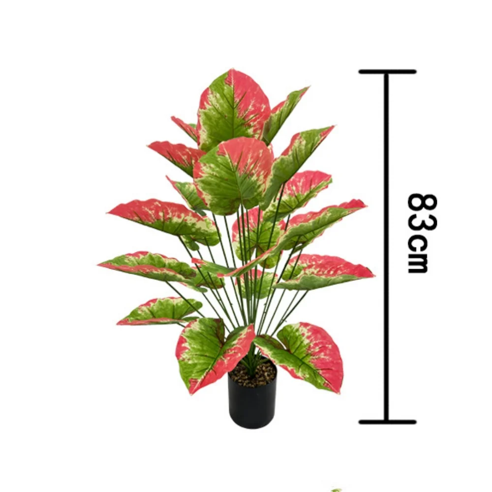Image du produit 14