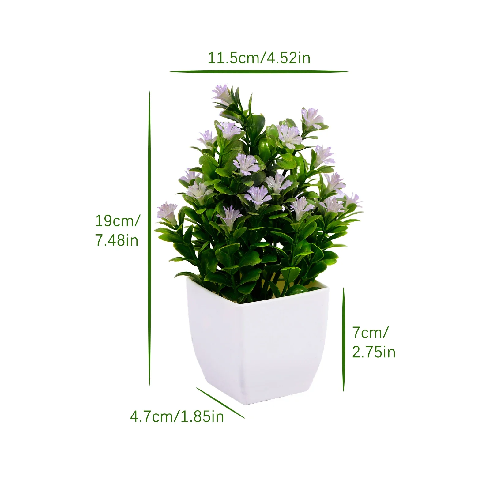 Image du produit 15