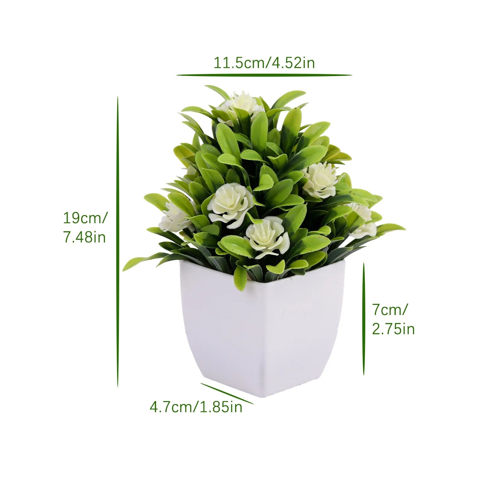 Image du produit 43
