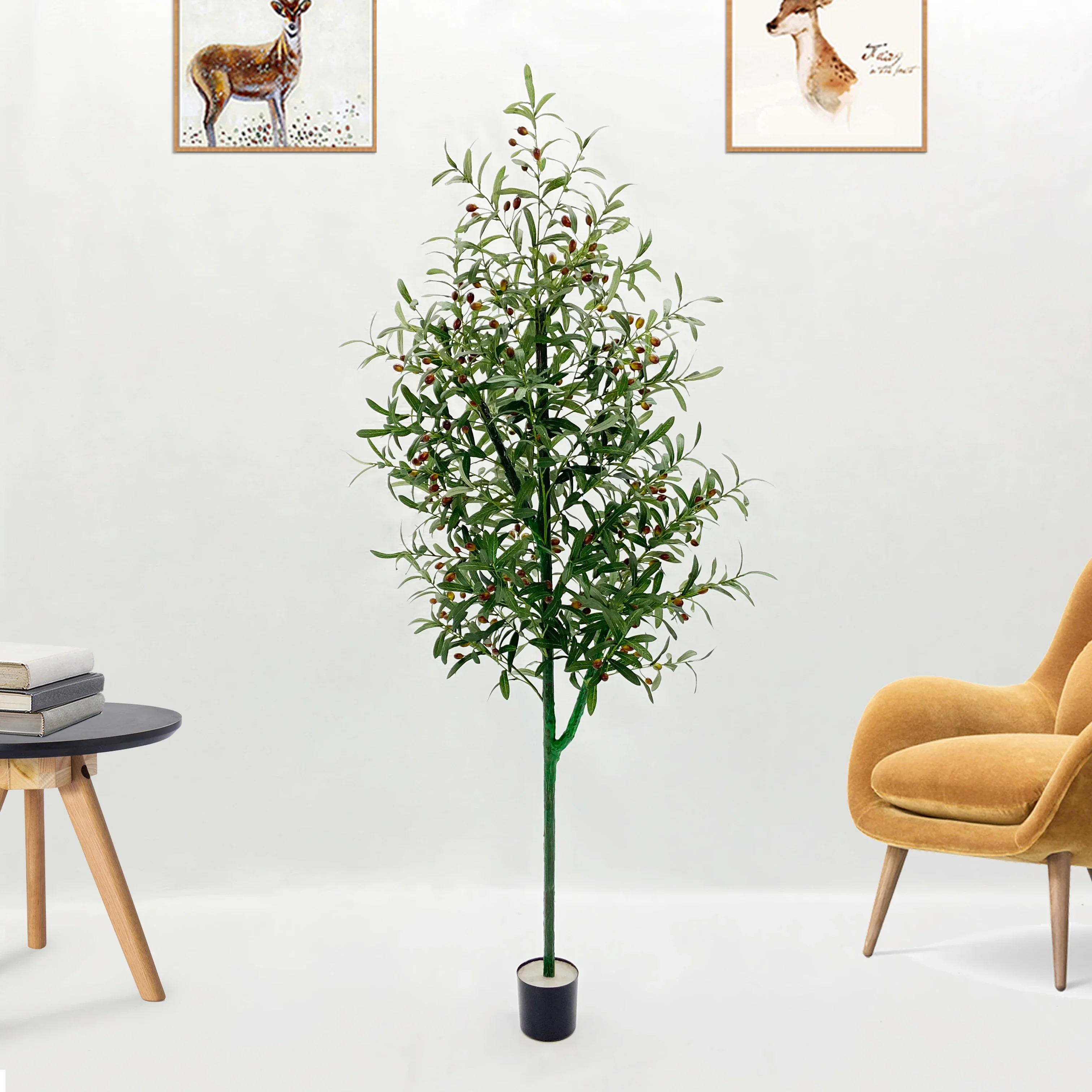 Image du produit 11