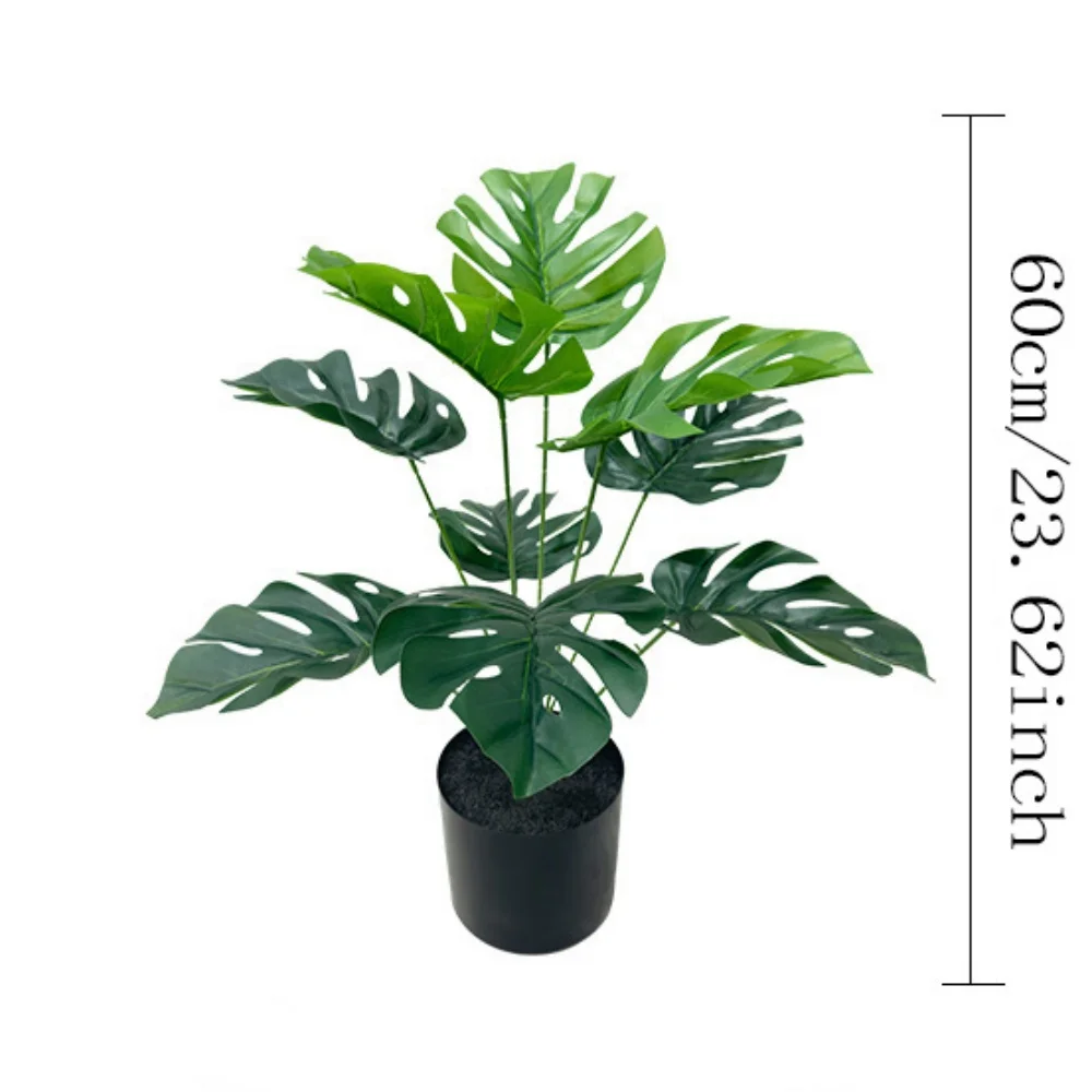 Image du produit 14