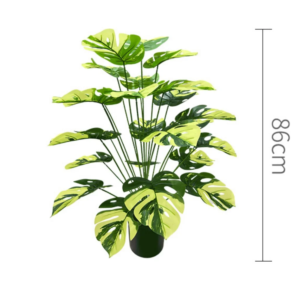 Image du produit 16