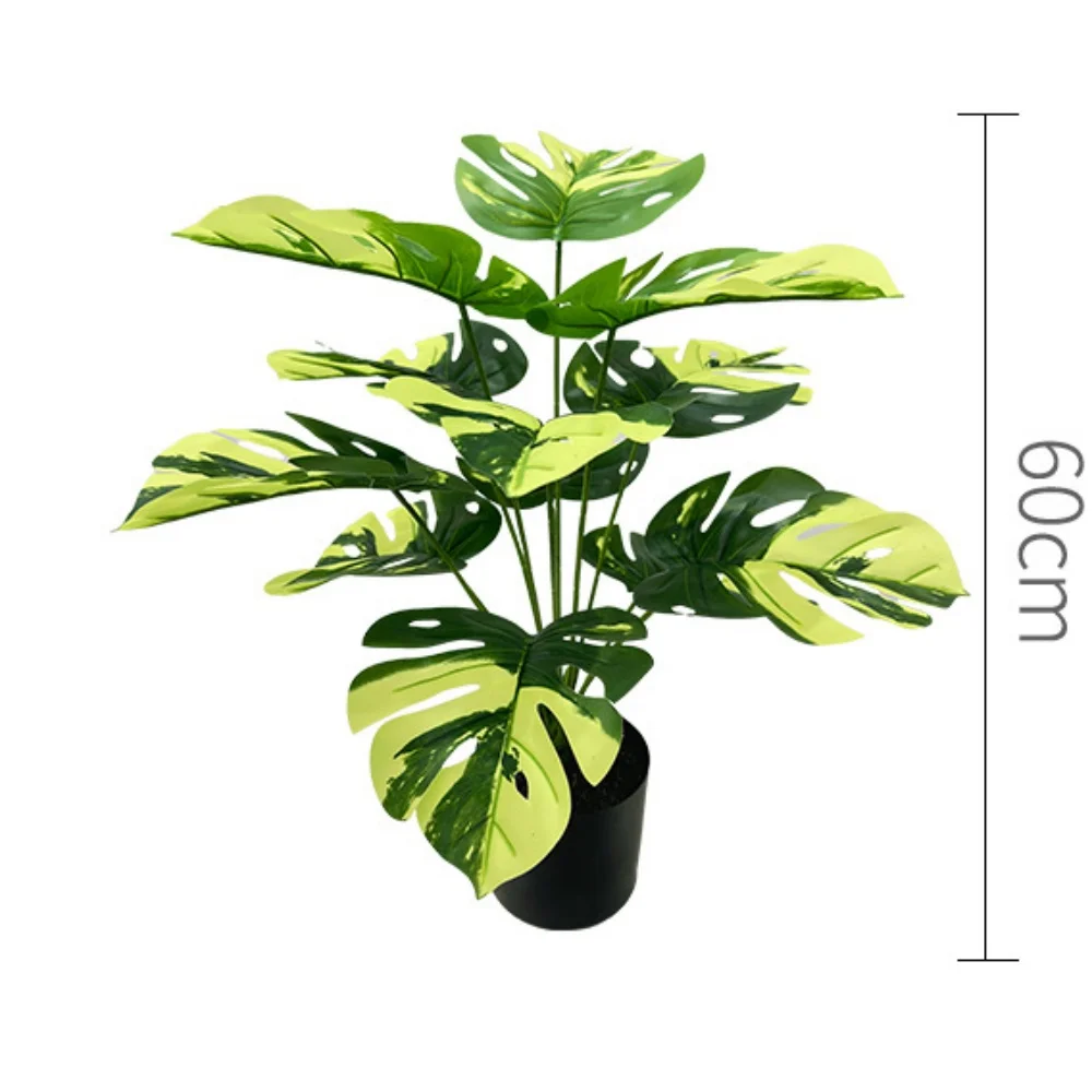 Image du produit 17