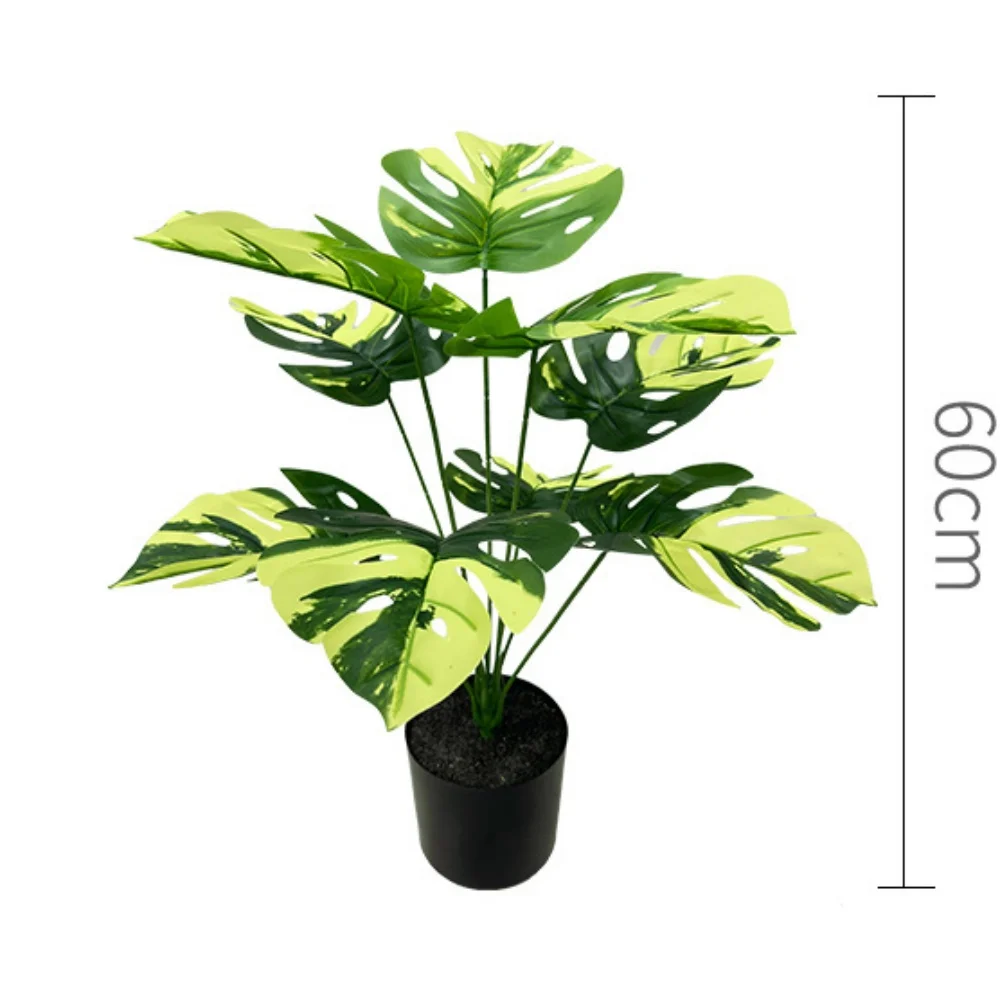 Image du produit 18