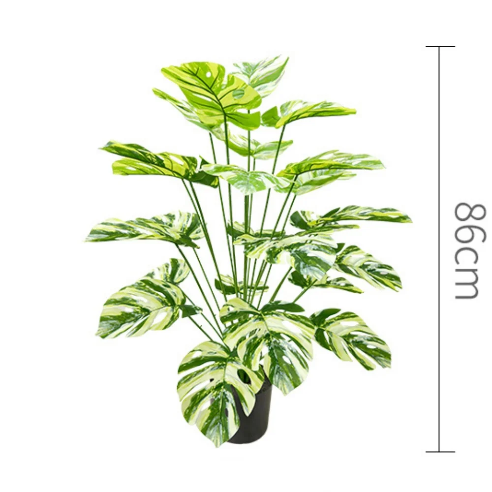 Image du produit 19