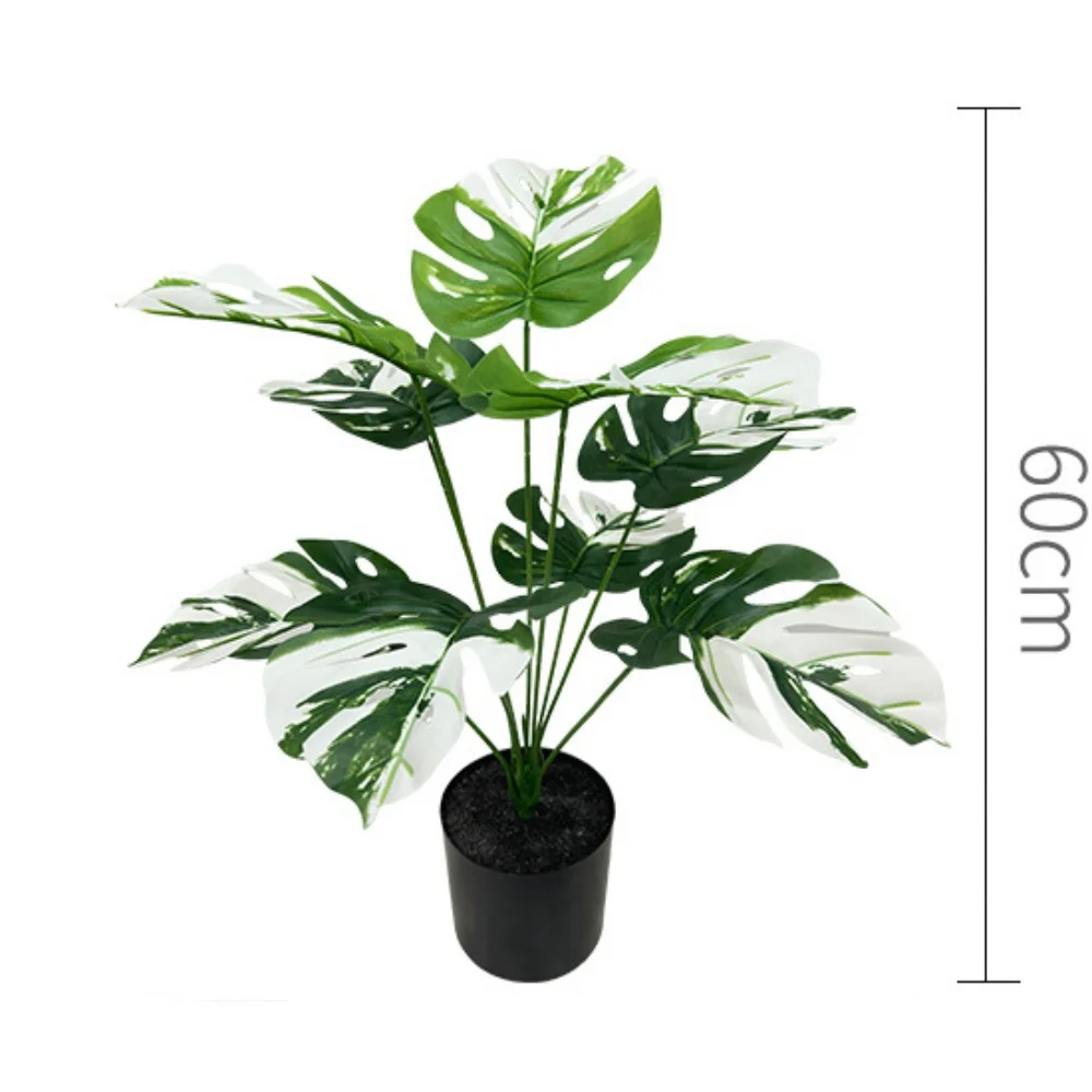 Image du produit 23