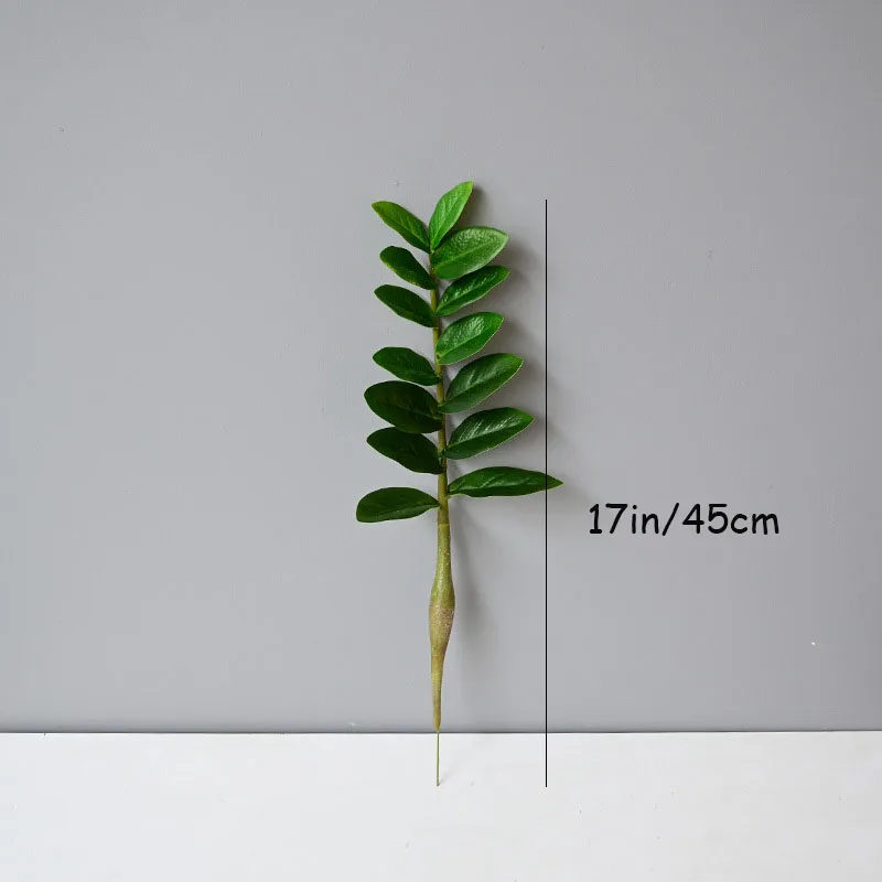Image du produit 13