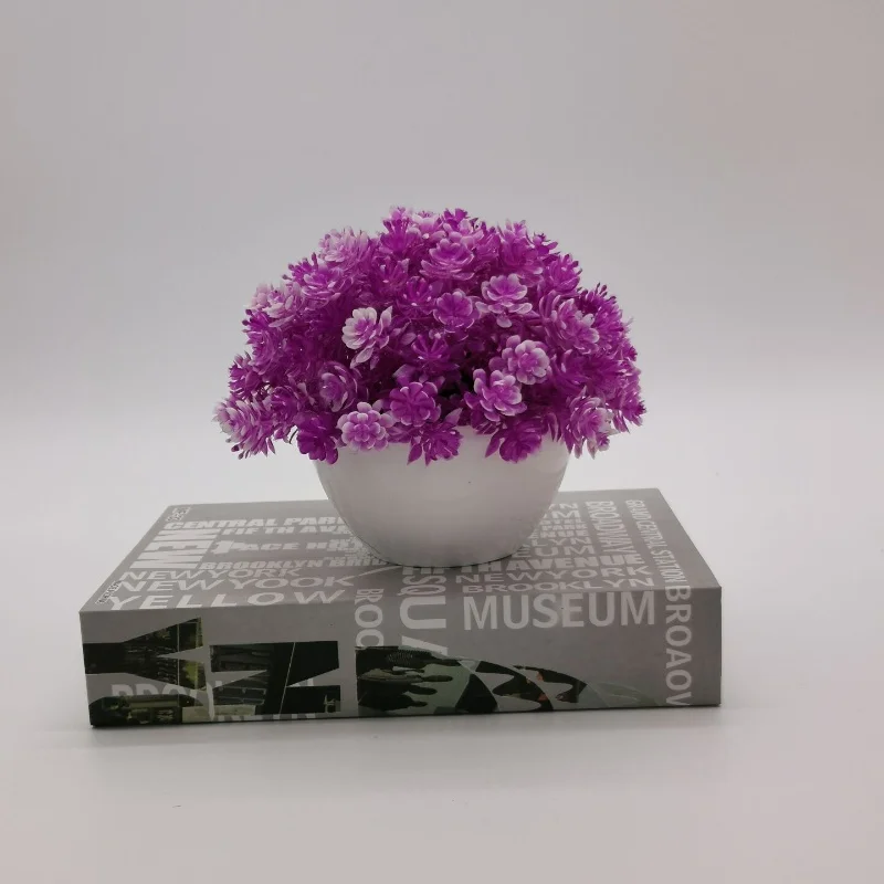 Image du produit 12