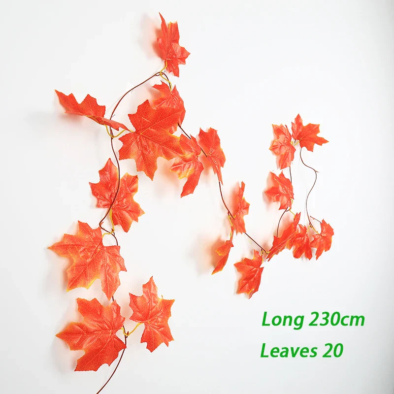 Image du produit 24