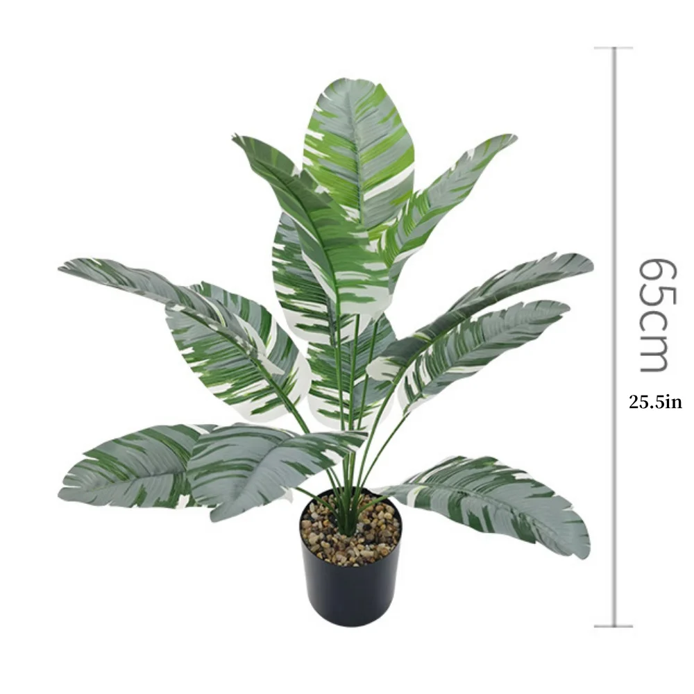 Image du produit 20