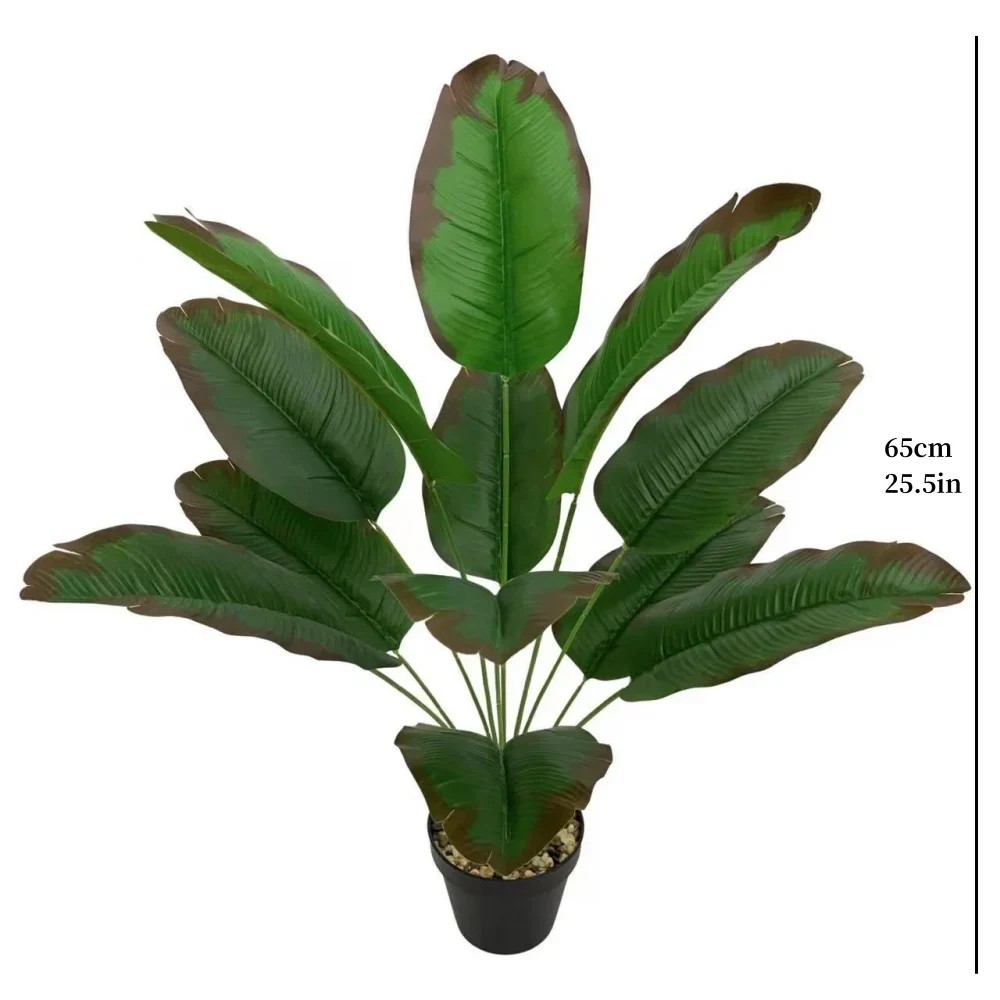 Image du produit 21