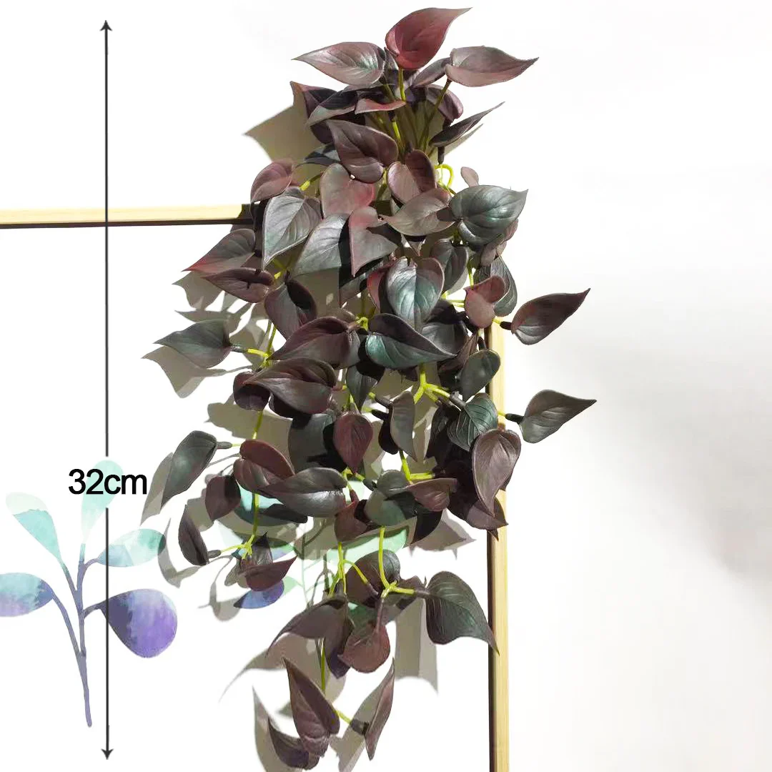 Image du produit 11