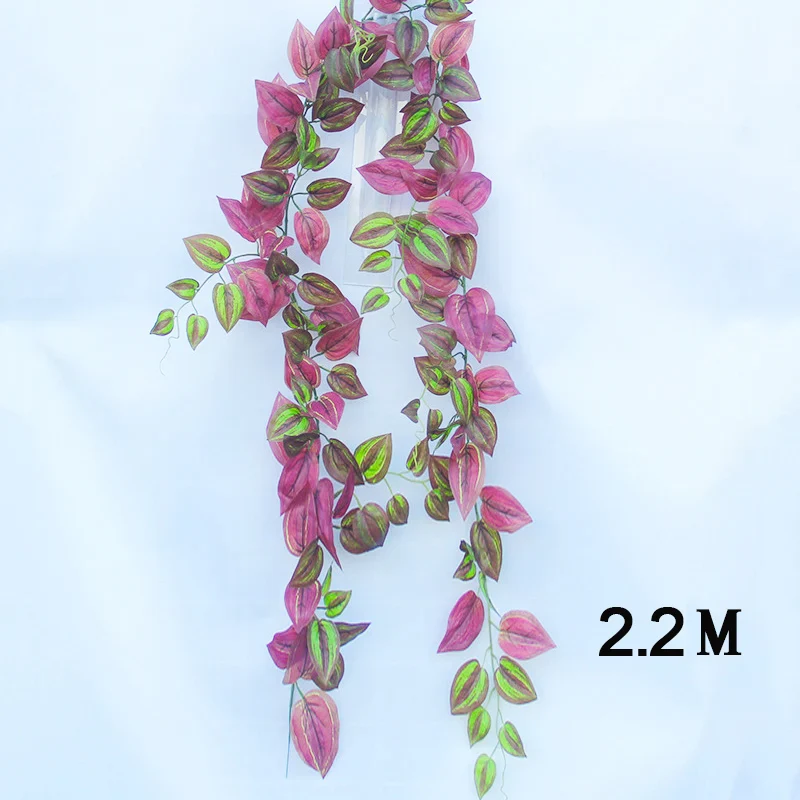 Image du produit 16