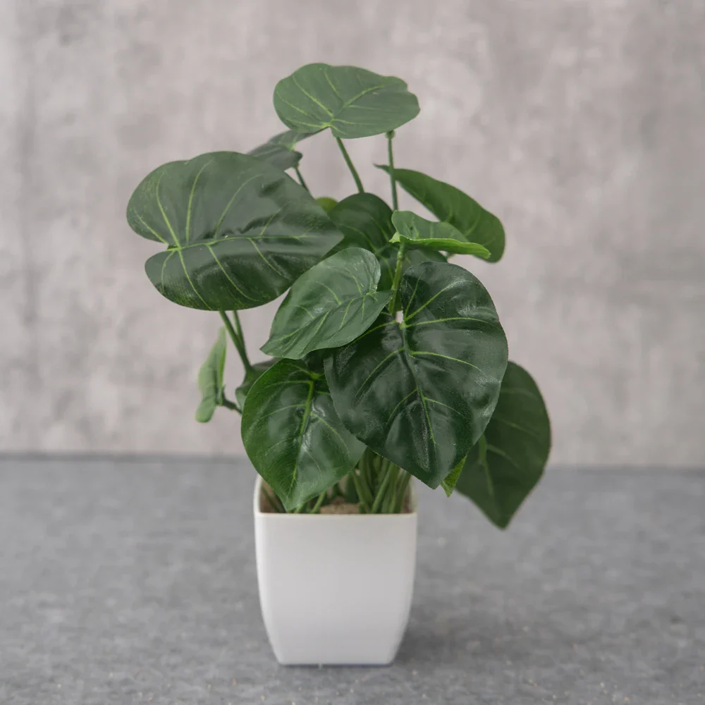 Image du produit 13
