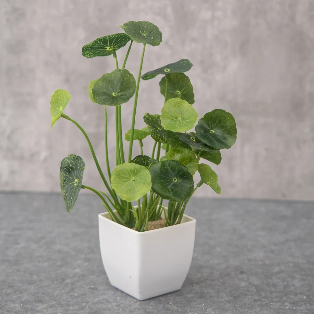 Image du produit 14