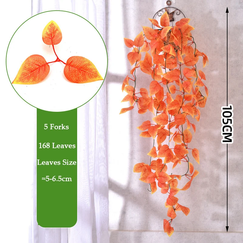 Image du produit 11