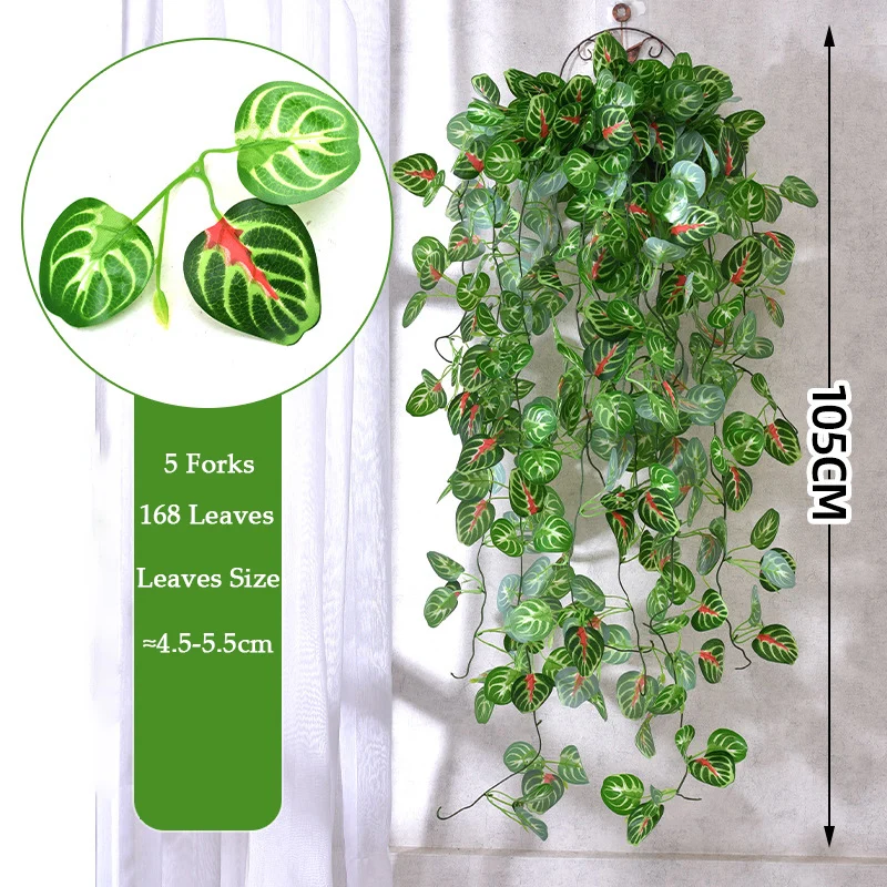 Image du produit 14