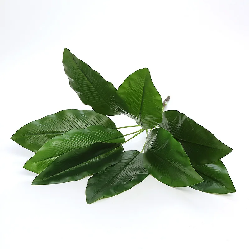 Image du produit 20