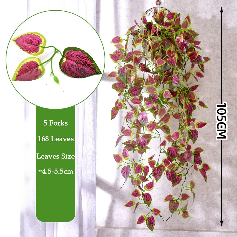 Image du produit 13