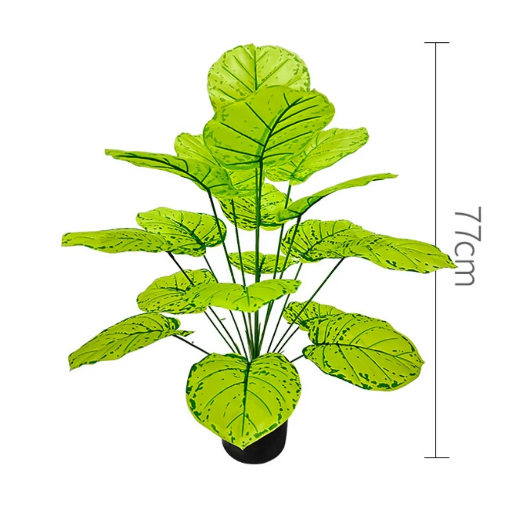 Image du produit 11