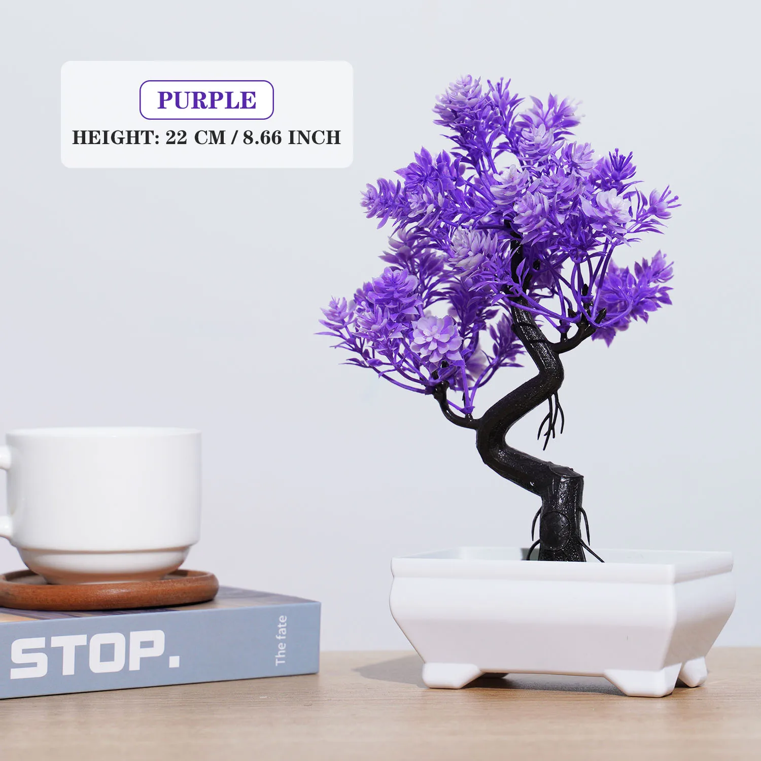 Image du produit 13
