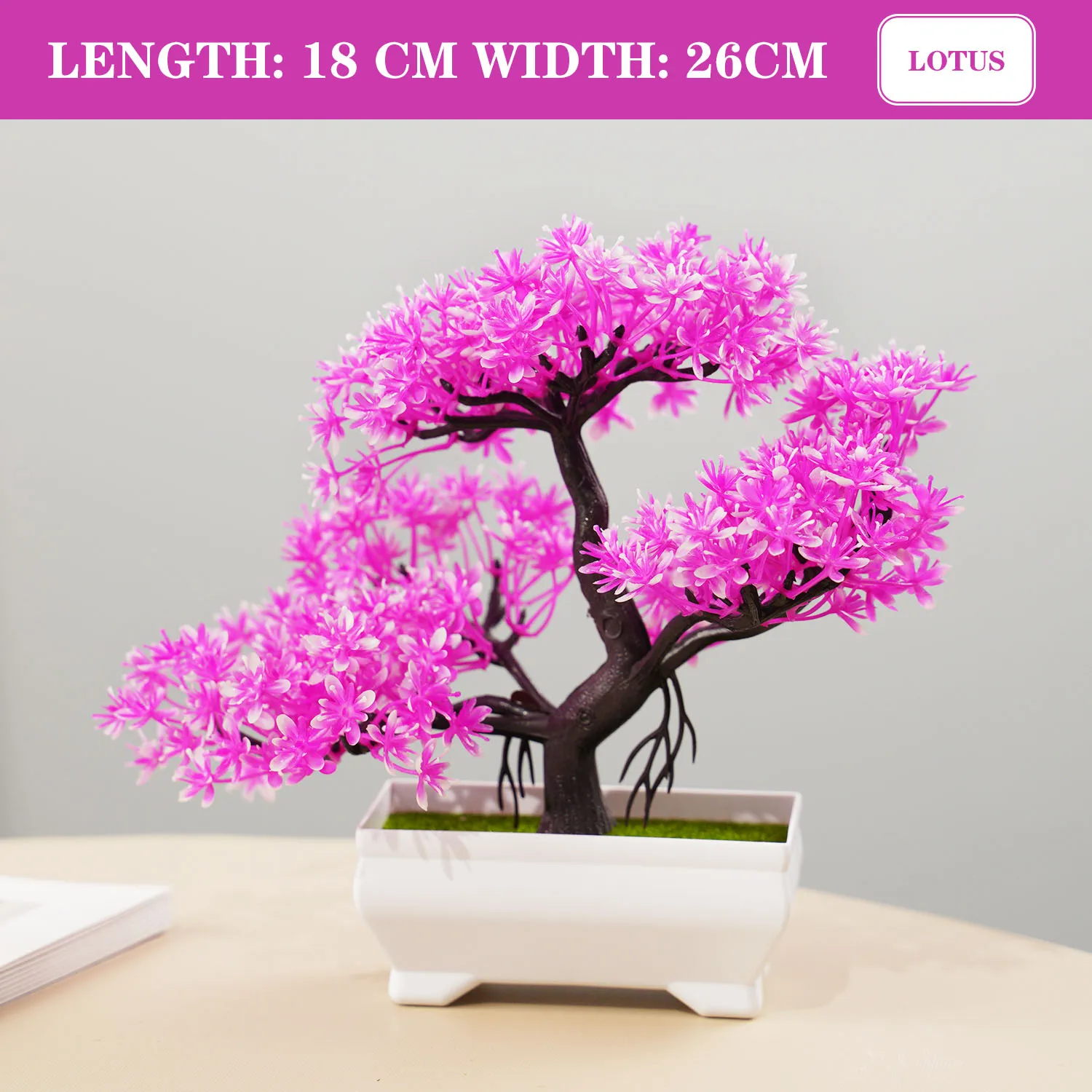 Image du produit 16