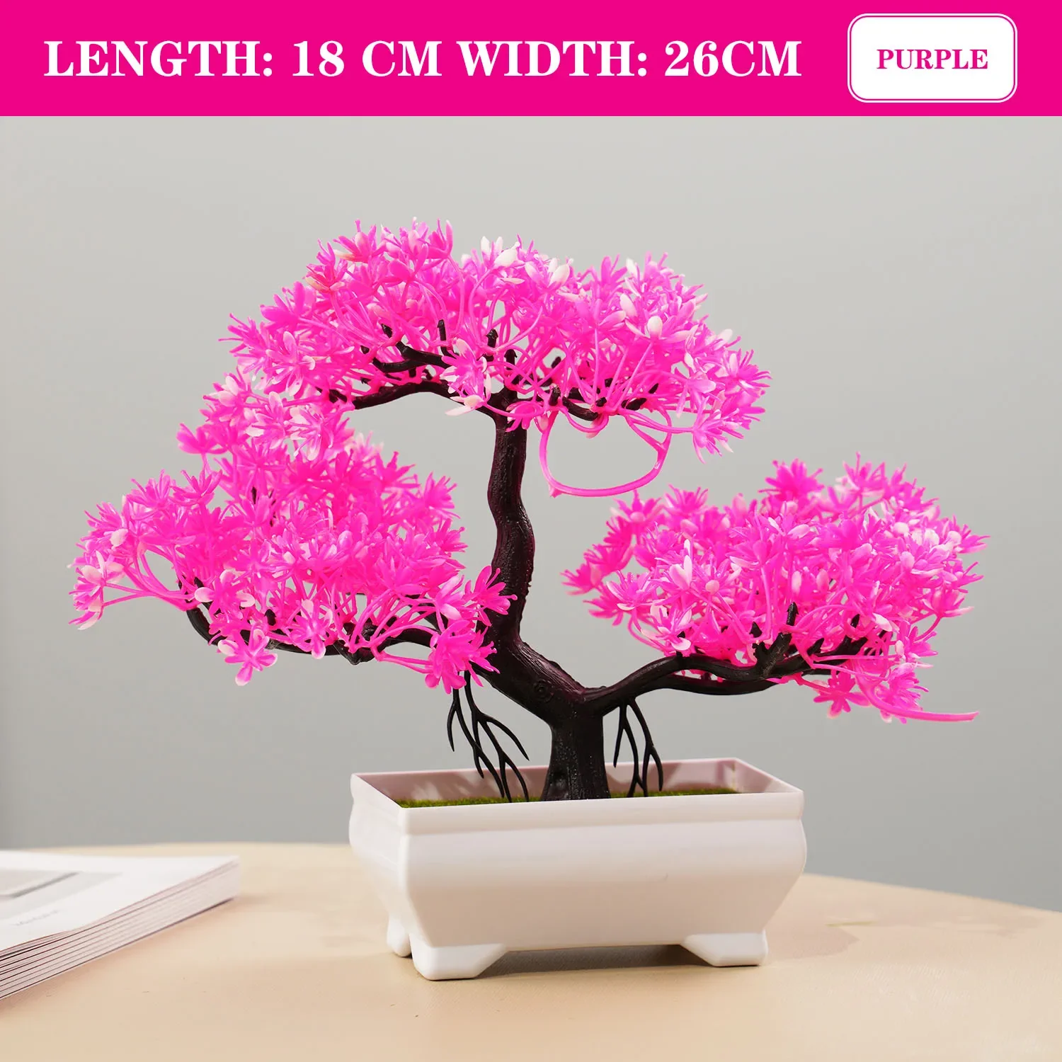 Image du produit 17
