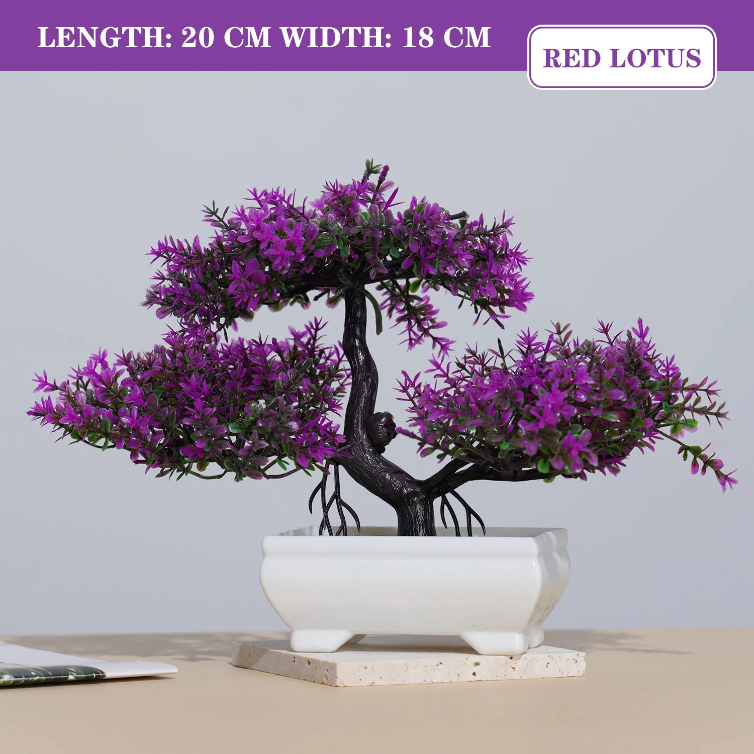 Image du produit 18