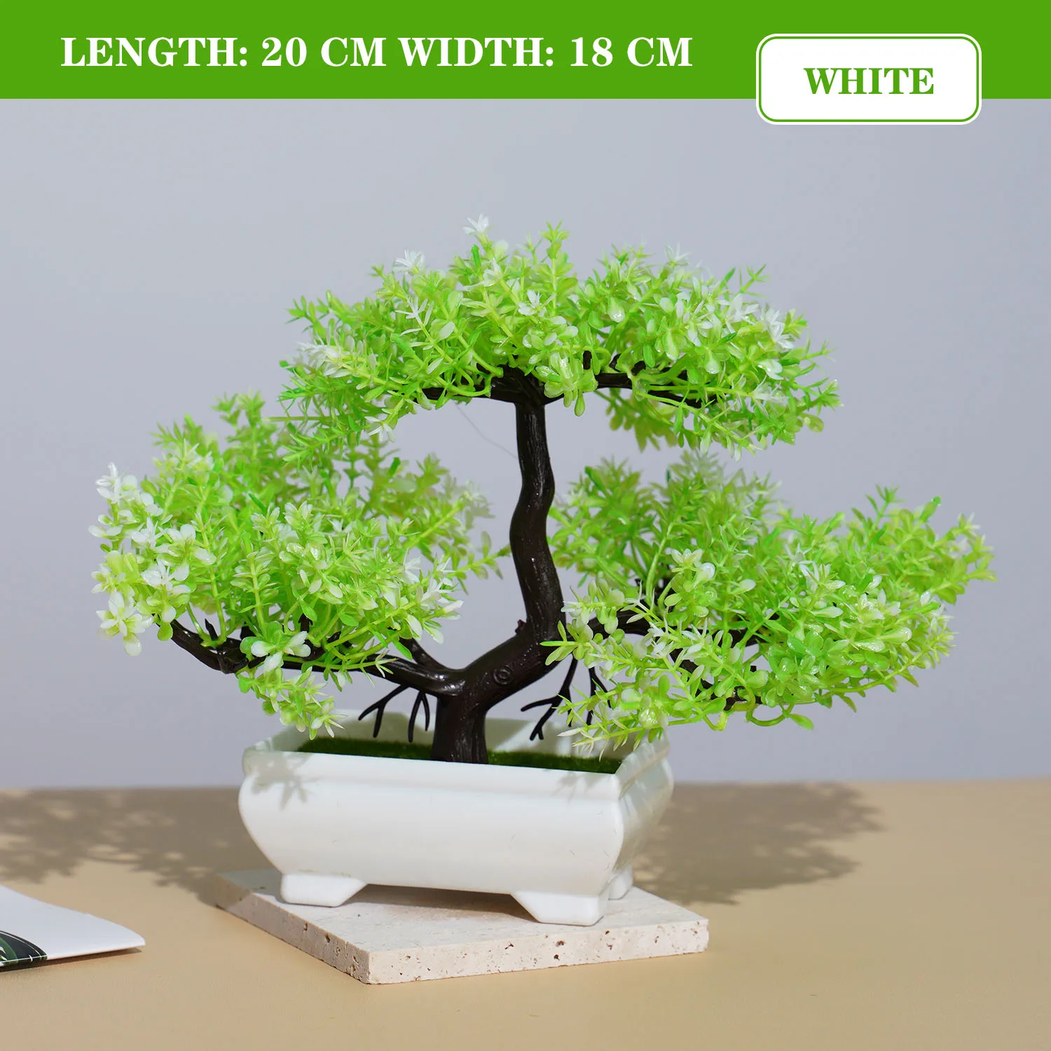 Image du produit 19