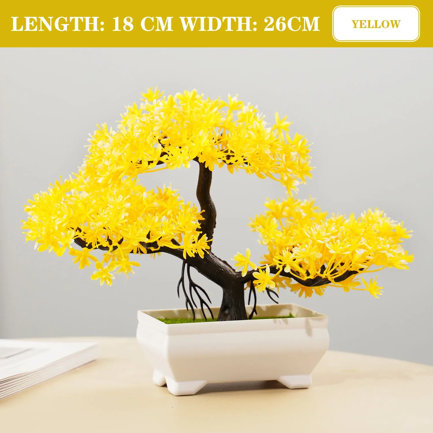 Image du produit 29