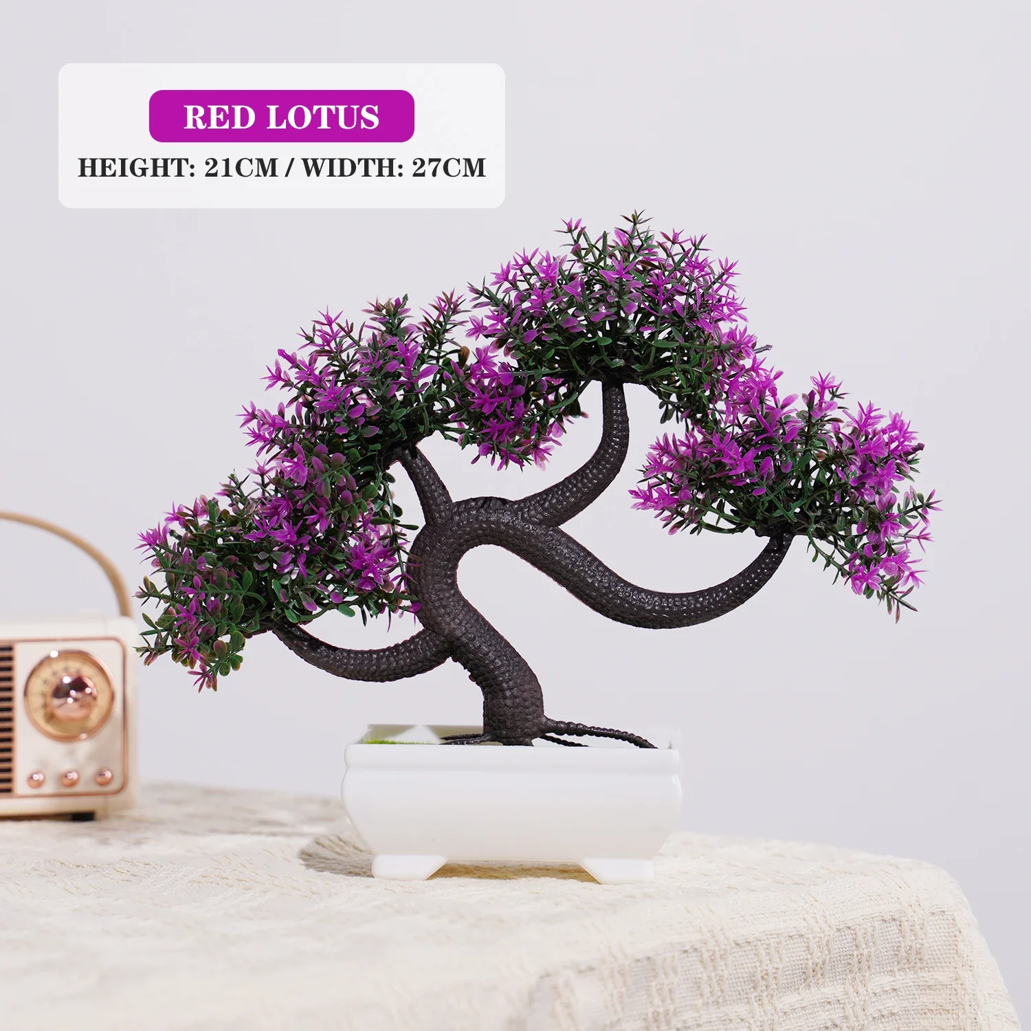 Image du produit 8