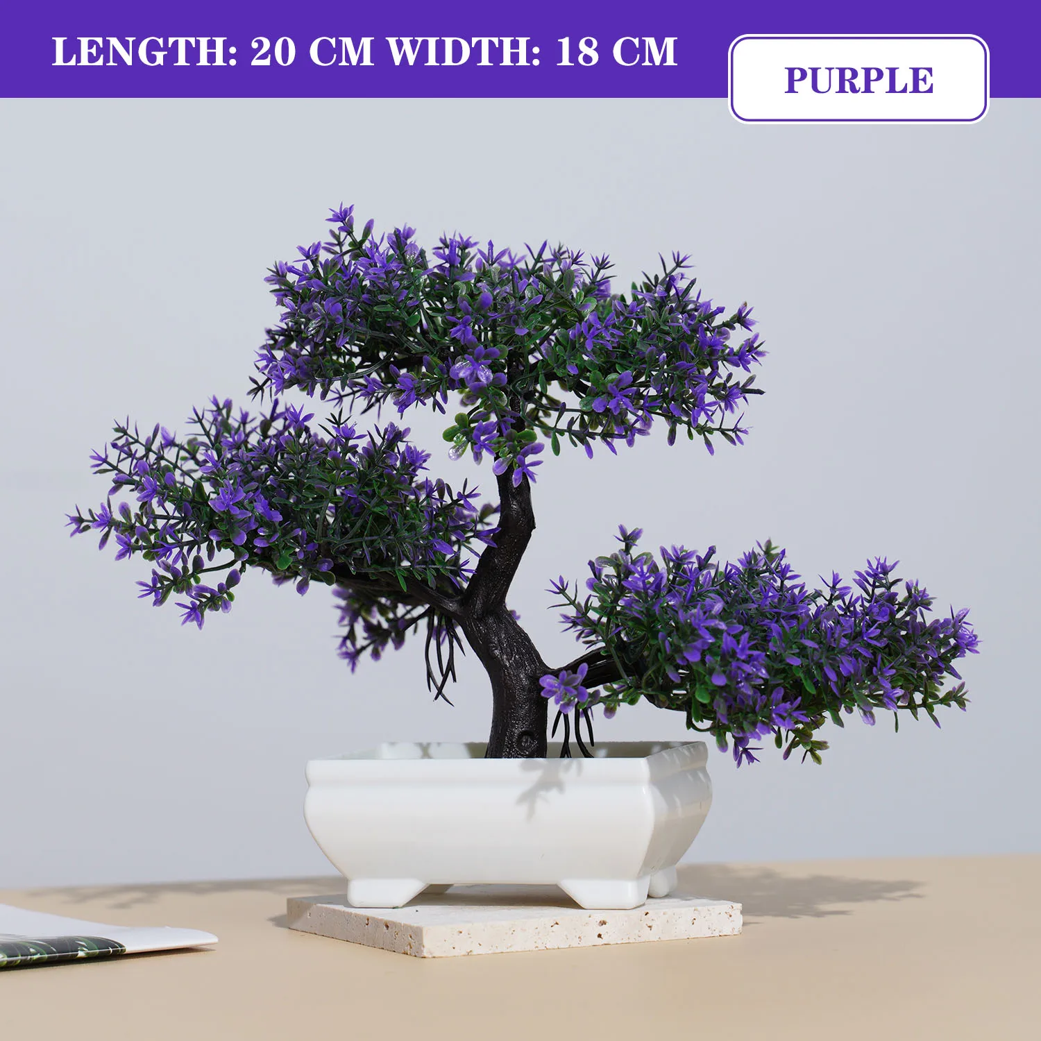 Image du produit 9