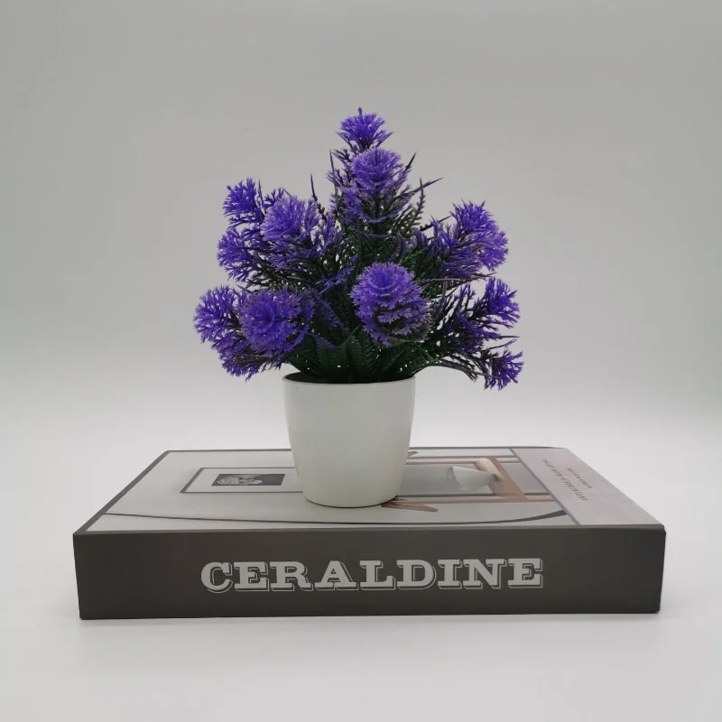 Image du produit 8