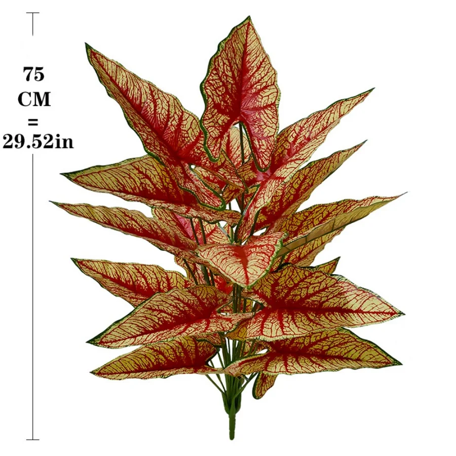 Image du produit 21