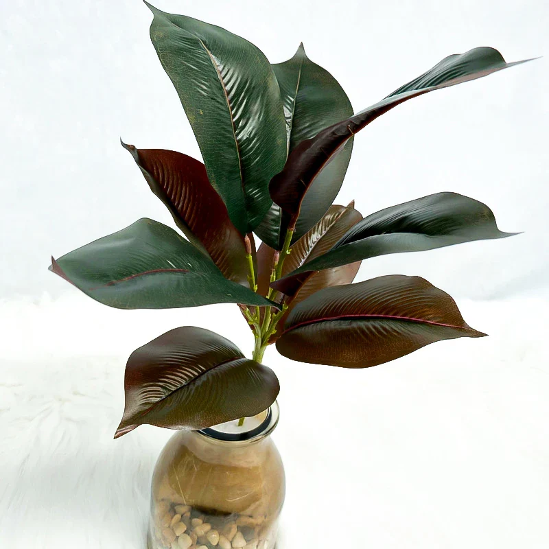 Image du produit 12