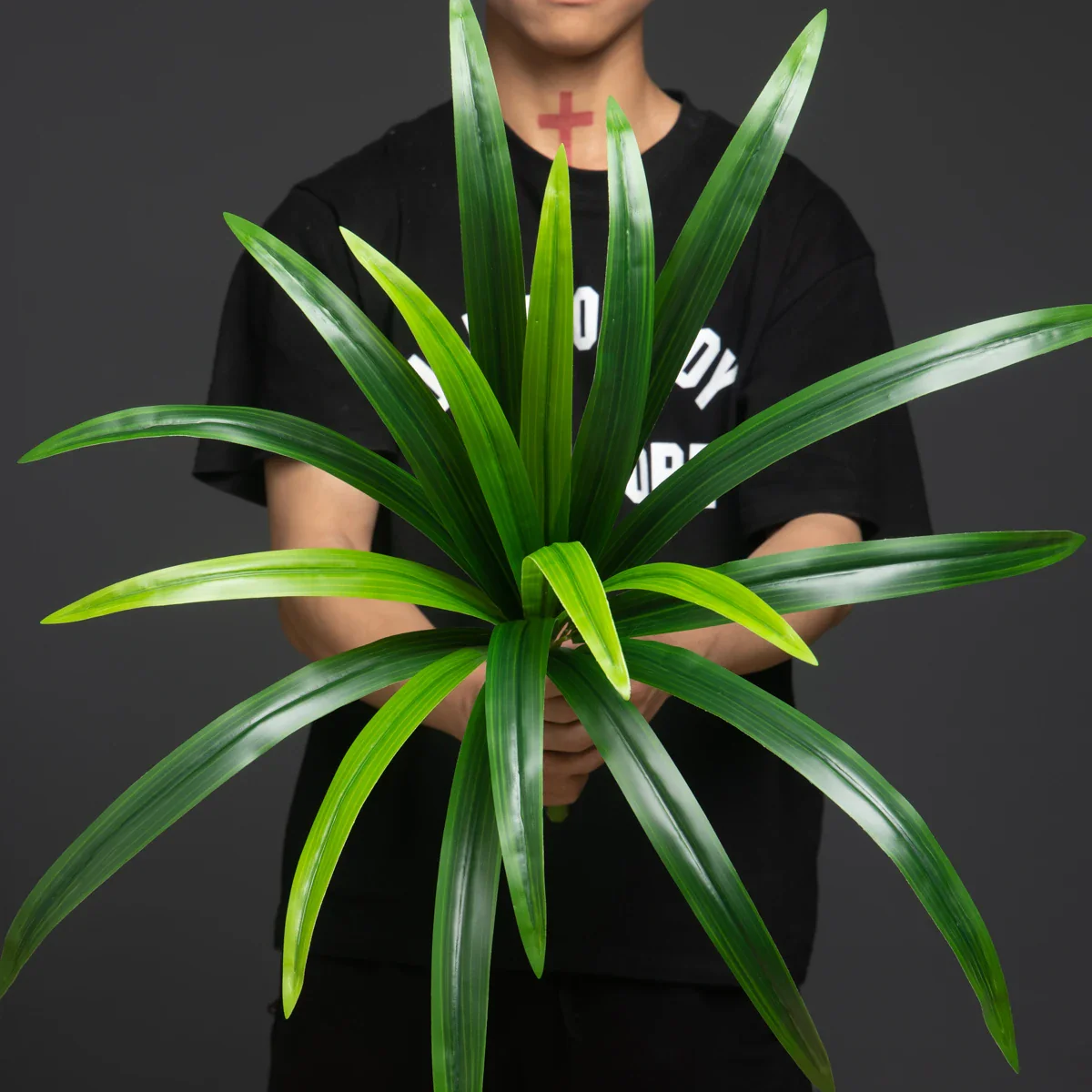 Image du produit 8