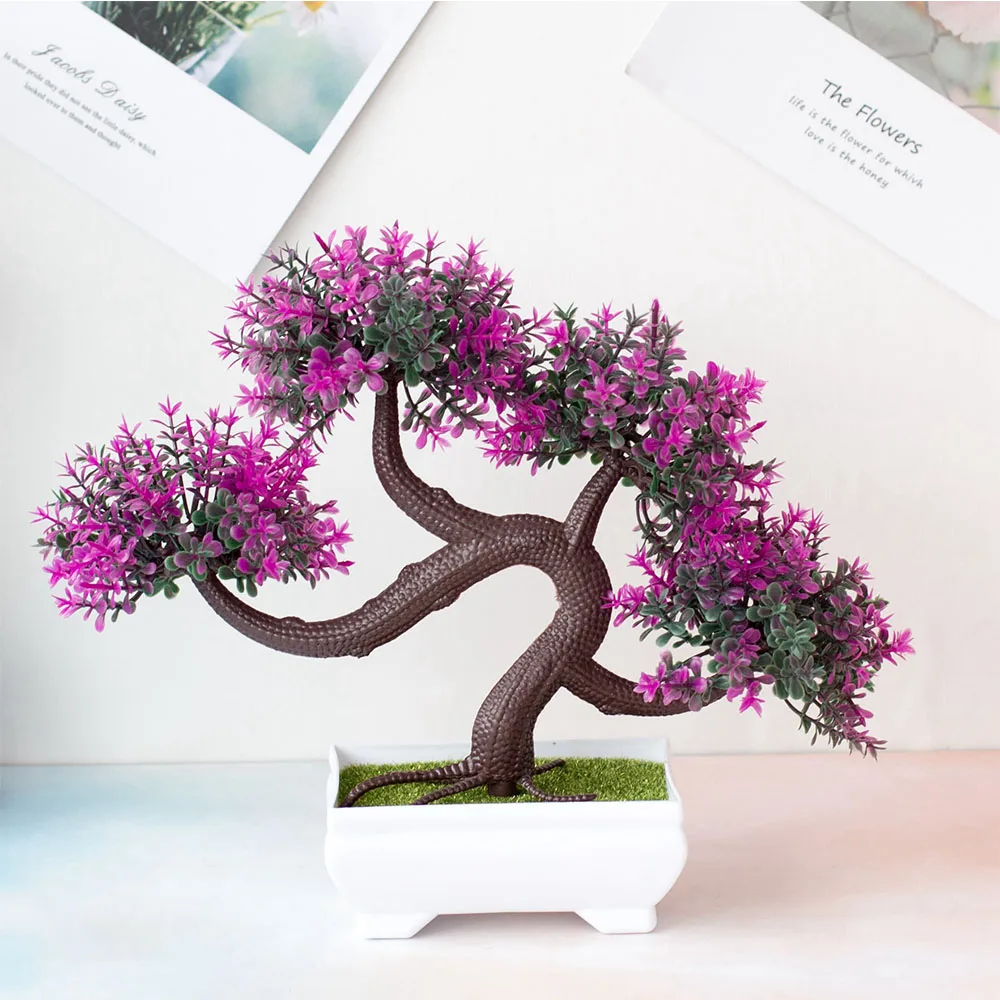 Image du produit 12