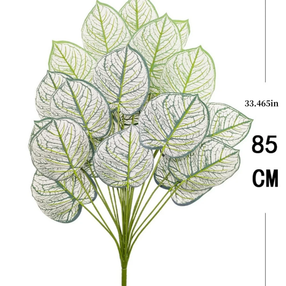 Image du produit 13