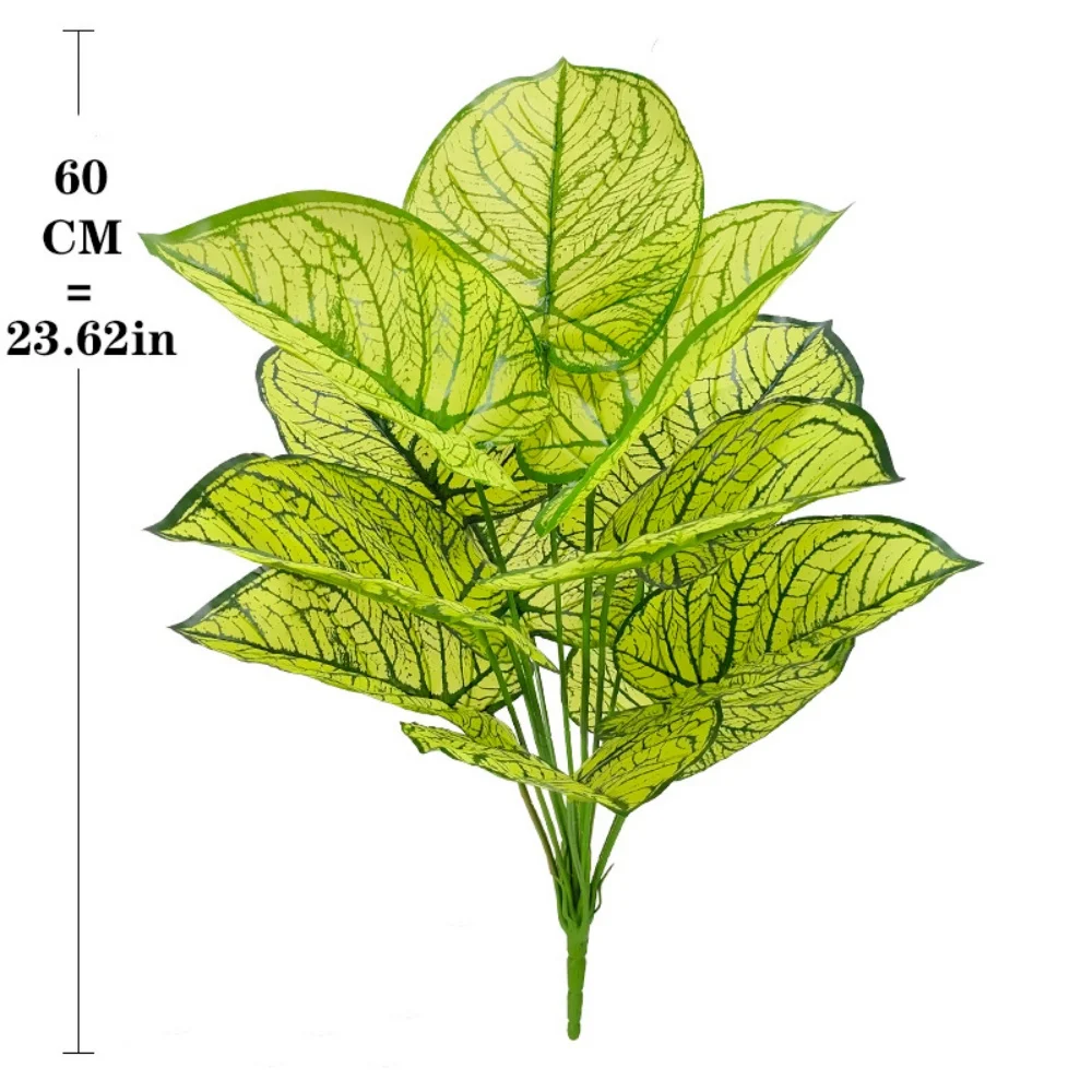 Image du produit 14