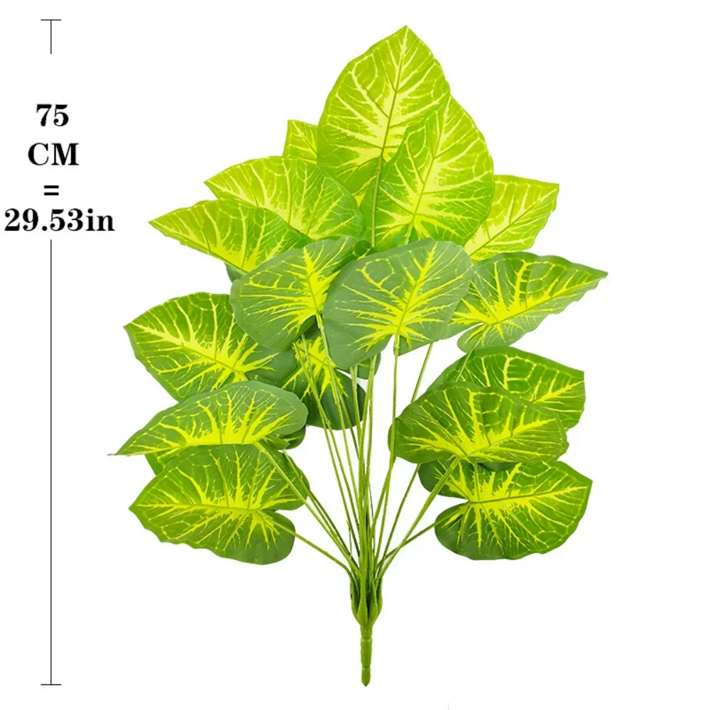 Image du produit 11